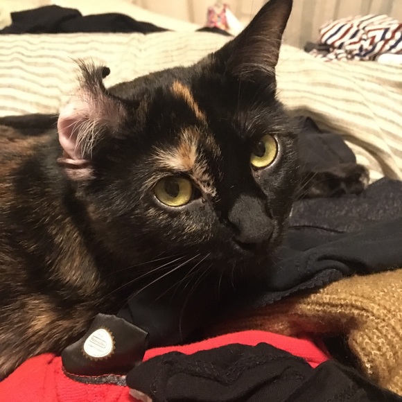 Hello Gorgeous!!!! My name is Sarah Evelyn. - Picture 6 of 6